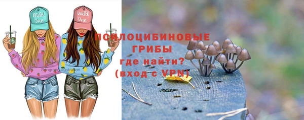 a pvp Богданович