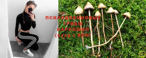марихуана Богородицк