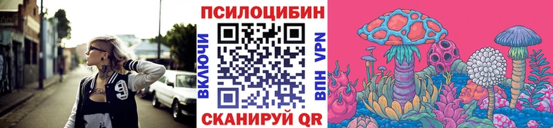 kraken вход  Волоколамск  Галлюциногенные грибы Cubensis 